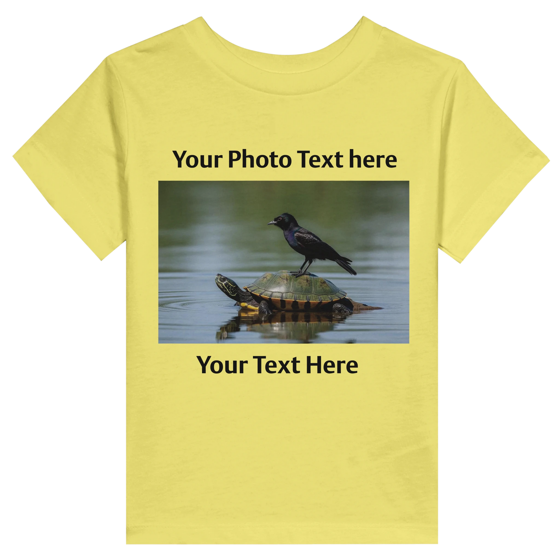 83031f09-43e9-43a4-bbb9-c18dfe4fcd17